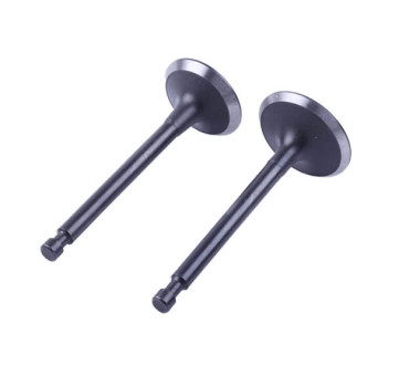 Клапани TT AGRO MOTO на бензиновий двигун 188F, к-т: 2 шт.