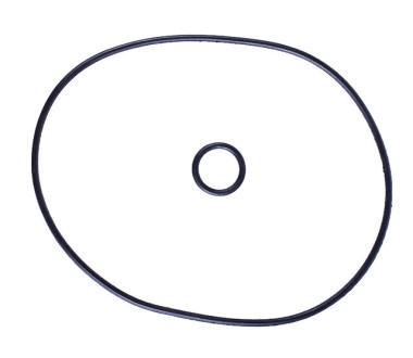 Кільця ущільнювальні кришки корпусу мотопомпи (тип 2), к-т: 2 шт. - V50
