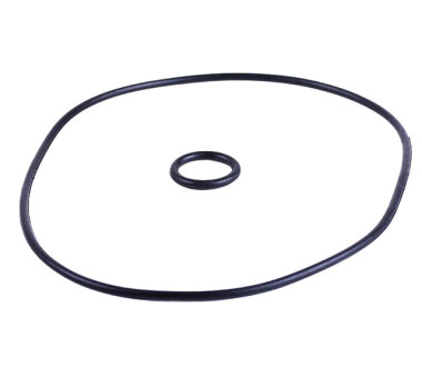 Кільця ущільнювальні кришки корпусу мотопомпи (тип 2), к-т: 2 шт. - V50