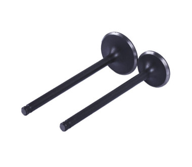 Клапани, к-т 2 шт. - CB-125 YBX