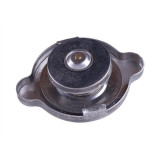 Крышка радиатора с клапаном сброса - 180N YBX