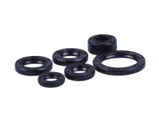 Сальники, к-т: 6 шт. - Дельта/Альфа - TTG