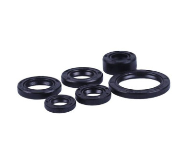 Сальники, к-т: 6 шт. - Дельта/Альфа - TTG