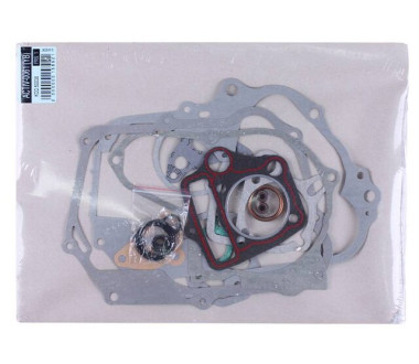 Прокладки двигателя, к-т: 17 шт. - Актив/Дельта/Альфа YBX