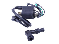 Катушка зажигания + надсвечник - Дельта