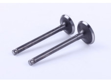 Клапани діаметр 20/23 мм, к-т: 2 шт.- Дельта/Альфа