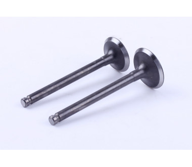 Клапаны диаметр 20/23 мм, к-т: 2 шт.- Дельта/Альфа