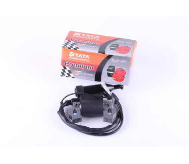 Котушка високої напруги + надсвічник - 168F - Premium