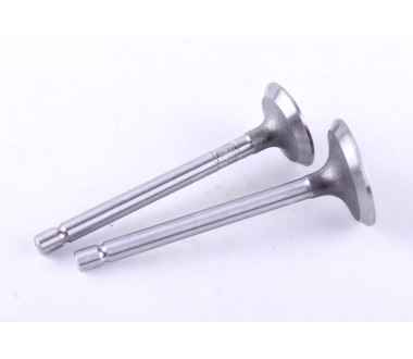 Клапани, к-т: 2 шт. - 178F - Premium