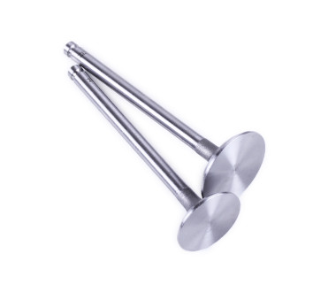 Клапани L-120 мм, к-т: 2 шт. - Zubr-195N - Premium