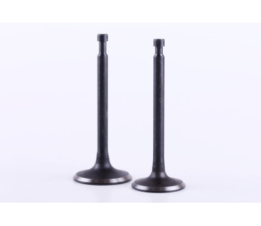 Клапани, к-т: 2 шт. - 188F - Premium