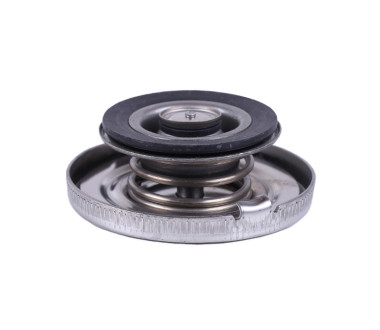 Кришка радіатора GZ тип 2 - 195N