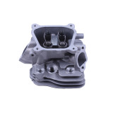 Головка блока в сборе - 168F