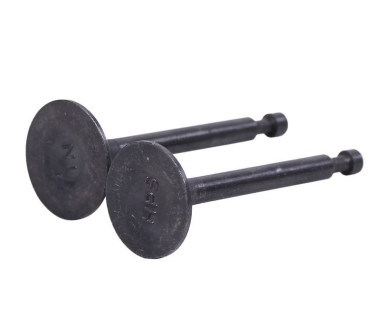 Клапаны, к-т: 2 шт. - 168F