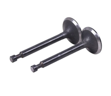 Клапаны, к-т: 2 шт. - 168F