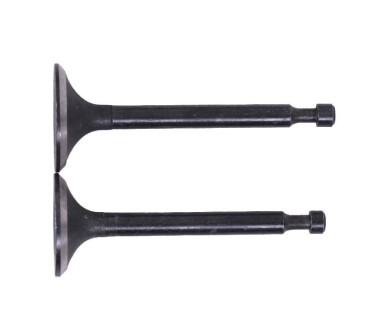 Клапаны, к-т: 2 шт. - 168F