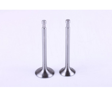 Клапани, діаметр 8 мм, к-т: 2 шт. - 180N