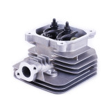 Головка блоку у зборі - P70F