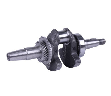 Колінвал у зборі під конус - 177F - GN 5-6 KW