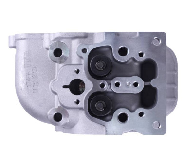 Головка блоку в зборі (під 3 болти) - 178F - TTG