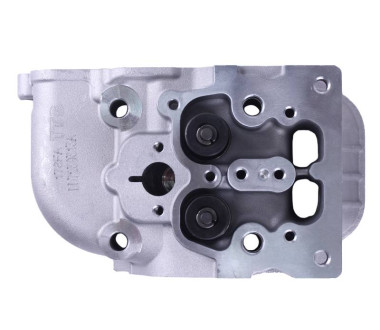 Головка блоку в зборі (під 3 болти) - 178F - TTG