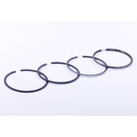 Кольца 100,25 мм, к-т на 1 поршень - ZS/ZH1100