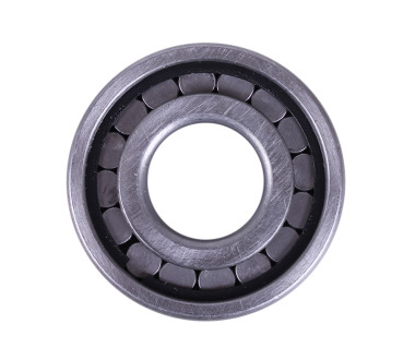 Підшипник (валу проміжного) NF 306 EV - GF