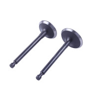 Клапаны TT AGRO MOTO на бензиновый двигатель 188F, к-т: 2 шт.